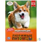 "УМКА". ЛЮБИМЫЕ ПИТОМЦЫ (ЭНЦИКЛОПЕДИЯ А4 С РАЗВИВАЮЩИМИ ЗАДАНИЯМИ). ТВЕРДЫЙ ПЕРЕПЛЕТ в кор.15шт | фото №0
