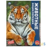 "УМКА". ЖИВОТНЫЕ. (ЭНЦИКЛОПЕДИЯ А3). ТВЕРДЫЙ ПЕРЕПЛЕТ. БУМАГА МЕЛОВАННАЯ 130Г. 240Х320ММ в кор.15шт | фото №0