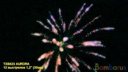 TXB423 AURORA | фото №0