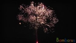 РБ-0461 Везувий14x1.0"/24x1.2"/8x2.0" | фото №0