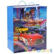 ПАКЕТ ПОДАРОЧНЫЙ "ИГРАЕМ ВМЕСТЕ" РАЛЛИ, 26Х32Х14СМ, БУМ., ГЛЯНЦЕВЫЙ В ПАК. УП-12ШТ в кор.6уп | фото №0