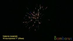 TXB216 CANCER | фото №0