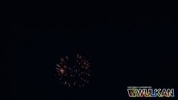 JG3390 (Шар 3") FLOWER WAVE W/BLUE PISTIL 3" | фото №0