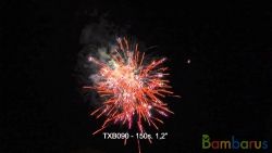 TXB090 | фото №0