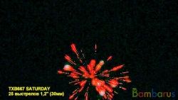 TXB667 SATURDAY | фото №0