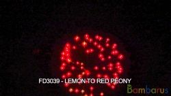 FD3039 (Шар 3") LEMON TO RED PEONY | фото №0