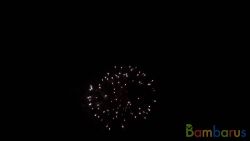 fr3020 (Шар 3") WHITE PEONY TO CRACKLING 3" | фото №0