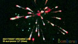 TXB207 DREAMING LOW | фото №0