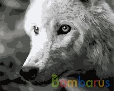 РИСОВАНИЕ ПО НОМЕРАМ НА ХОЛСТЕ, БЕЛЫЙ ВОЛК, РАЗМЕР 40*50 в кор.22шт | фото №0