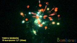 TXB314 SANSARA | фото №0