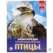 Птицы. (Энциклопедия А4 с развивающими заданиями). Формат: 197х255 мм. 48 стр. Умка в кор.15шт | фото №0