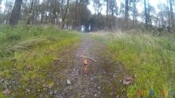 TXP385 Цветной гром (уп-20 шт) (1/60) (NEW) | фото №0