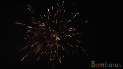 СБ-1201 Горыныч | фото №0