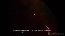 fr4044 GREEN PEONY WITH COCO PISTIL | фото №0