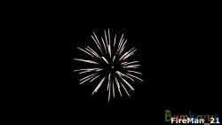 FD3060 ( Шар 3" ) SUPER CROWN | фото №0