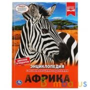 Африка. (Энциклопедия А4 с развивающими заданиями). Тв. переплет. 197х255мм. 48 стр. Умка в кор.15шт | фото №0