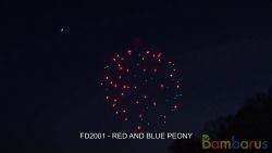 FD2001 ( Шар 2,5" )  RED AND BLUE PEONY 2.5" | фото №0