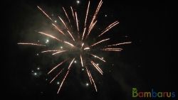 КБ-0492 Менеджерский | фото №0