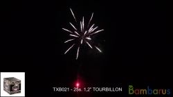 TXB021 TOURBILLON | фото №0