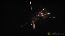 КБ-0364 Понтовый | фото №0