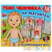 ИГРА-ОДЕВАЙКА НА МАГНИТАХ "УМНЫЕ ИГРЫ" ОДЕНЬ КУКЛУ. ТЕЛО ЧЕЛОВЕКА. 240Х200Х60 ММ в кор.7шт | фото №0