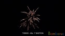 TXB020 BASTION | фото №0