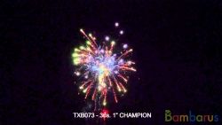TXB073 CHAMPION 8/1 | фото №0