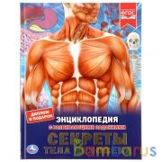 Секреты тела человека. (Энциклопедия А4 с развивающими заданиями). 197х255мм 48 стр. Умка в кор.15шт | фото №0