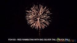 FD4103 RED RAMBUTAN WITH BIG SILVER TAIL | фото №0