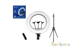 КОЛЬЦЕВАЯ ЛАМПА LED-RL-21 (М-54) С 3-МЯ ДЕРЖАТЕЛЯМИ ДЛЯ СМАРТФОНА (ДИАМЕТР 54) | фото №0