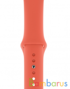 Ремешок Sportband для Apple Watch 38/40mm силиконовый (Спелый клементин) | фото №0