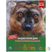 100 уникальных животных. Энциклопедия А4 с развивающими заданиями. 197х255мм, 48стр. Умка в кор.15шт | фото №0