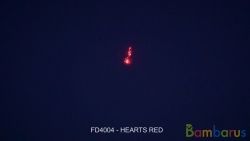 FD4004 HEARTS RED | фото №0