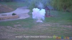 XP 4002  (SFA 806) (уп-4 шт) (1/60) (NEW) | фото №0