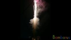 XC3007 roman candles purpurea 0,5" | фото №0