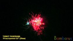 TXB827 PANORAMA(18/1) | фото №0