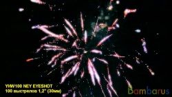 YHW100 NEW EYESHOT | фото №0
