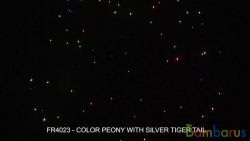 fr4023 COLOUR PEONY WITH SILVER TIGER TAIL 4шт | фото №0