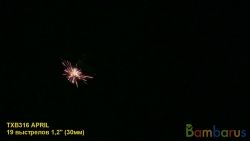 TXB316 APRIL(кор12/1) | фото №0