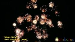 TXB666 FRIDAY(6/1) | фото №0