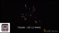 TXB284 PARIS | фото №0