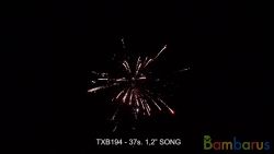 TXB194 (YHW009 SONG)  (кор/4 шт) | фото №0