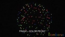 fr4041 COLOR PEONY 4 шт | фото №0