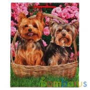 Пакет подарочный глянцевый терьеры, 26*32*14см в пак. Играем вместе уп-12шт в кор.6уп | фото №0