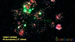 TXB671 SPRING | фото №0