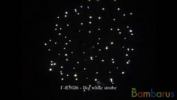 fr5026 BIG WHITE STROBE | фото №0
