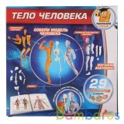 ИГРУШКА ОПЫТЫ "ИГРАЕМ ВМЕСТЕ": ТЕЛО ЧЕЛОВЕКА В РУСС. КОР. в кор.2*48шт | фото №0