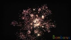 СБ-0252 Иванушка | фото №0