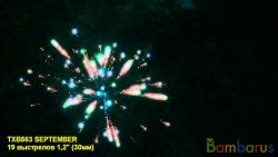 TXB563 SEPTEMBER | фото №0