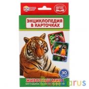КАРТОЧКИ РАЗВИВАЮЩИЕ "УМНЫЕ ИГРЫ" ЖИВОТНЫЕ МИРА. (30 КАРТОЧЕК) В КОР. в кор.50шт | фото №0